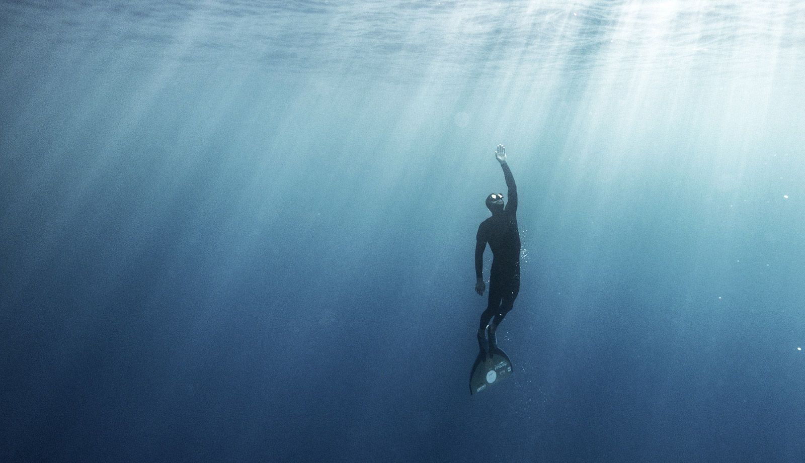 Illustartion Groupe Animus